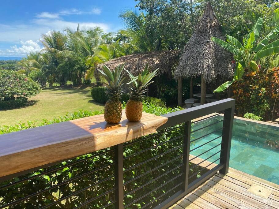 Macesuya Lodge