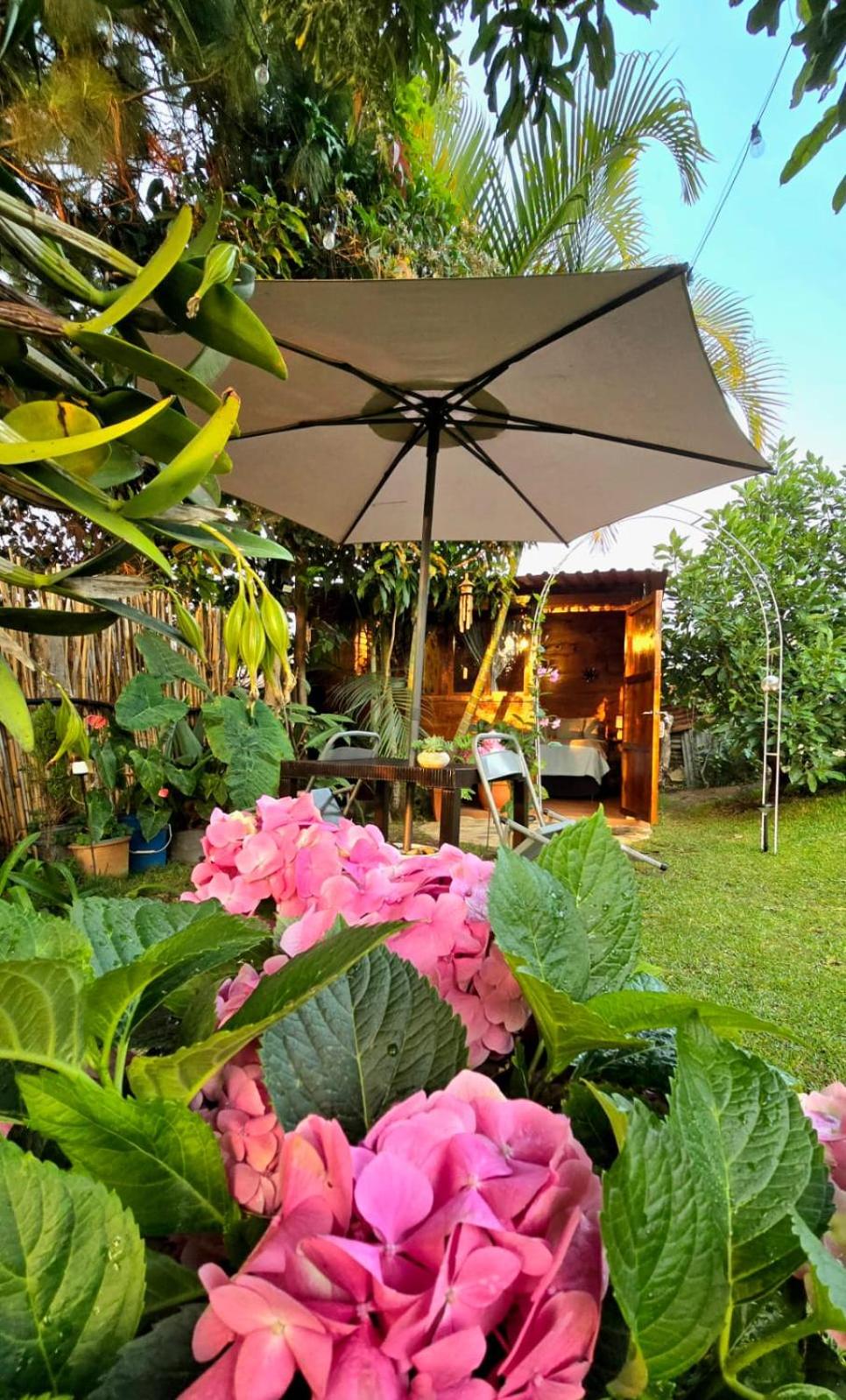 Casa Jardin De Julia view 3
