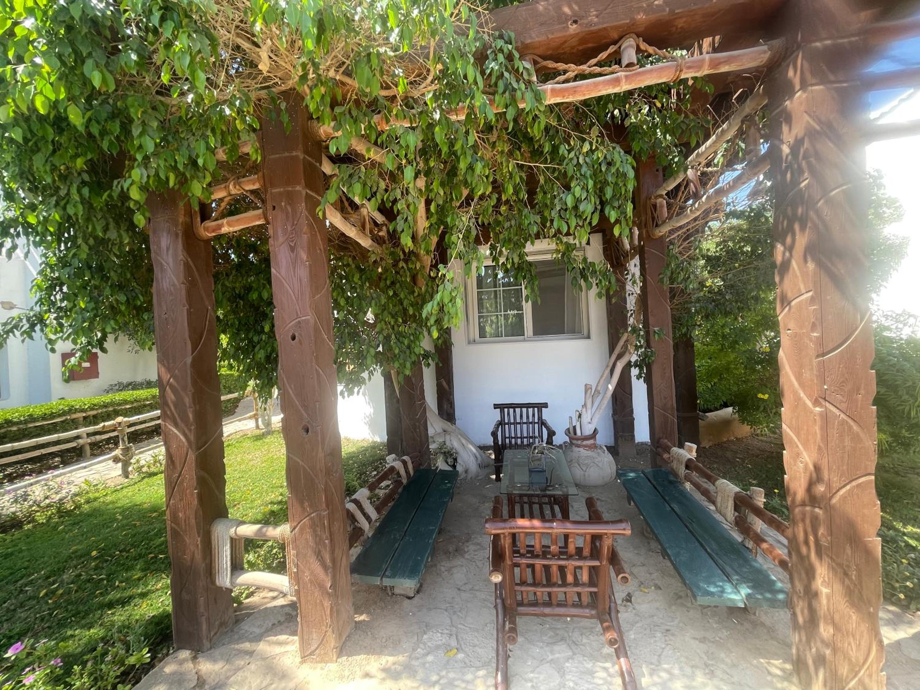 Photo 6