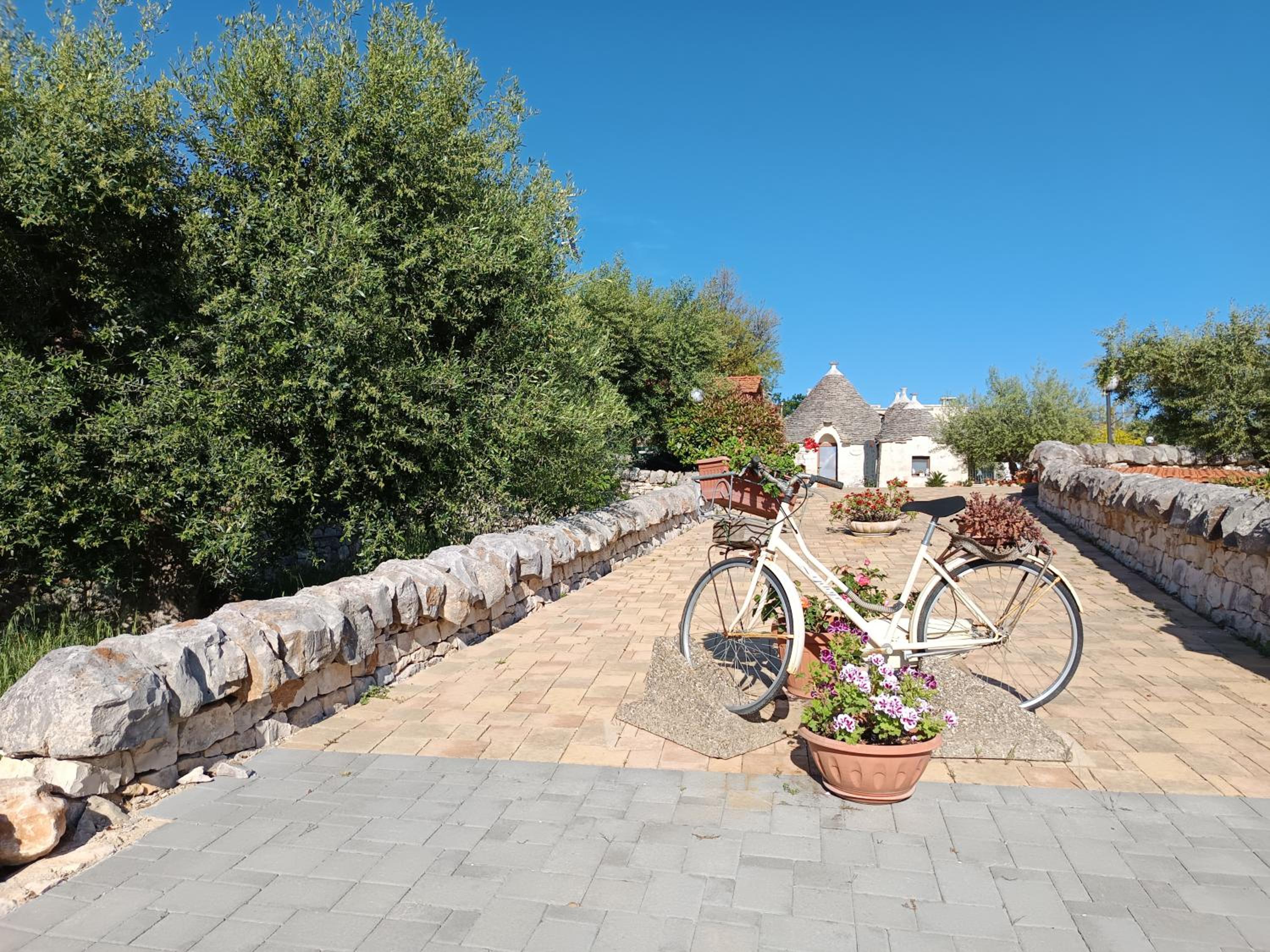 B&B La Rosa dei Trulli Alberobello