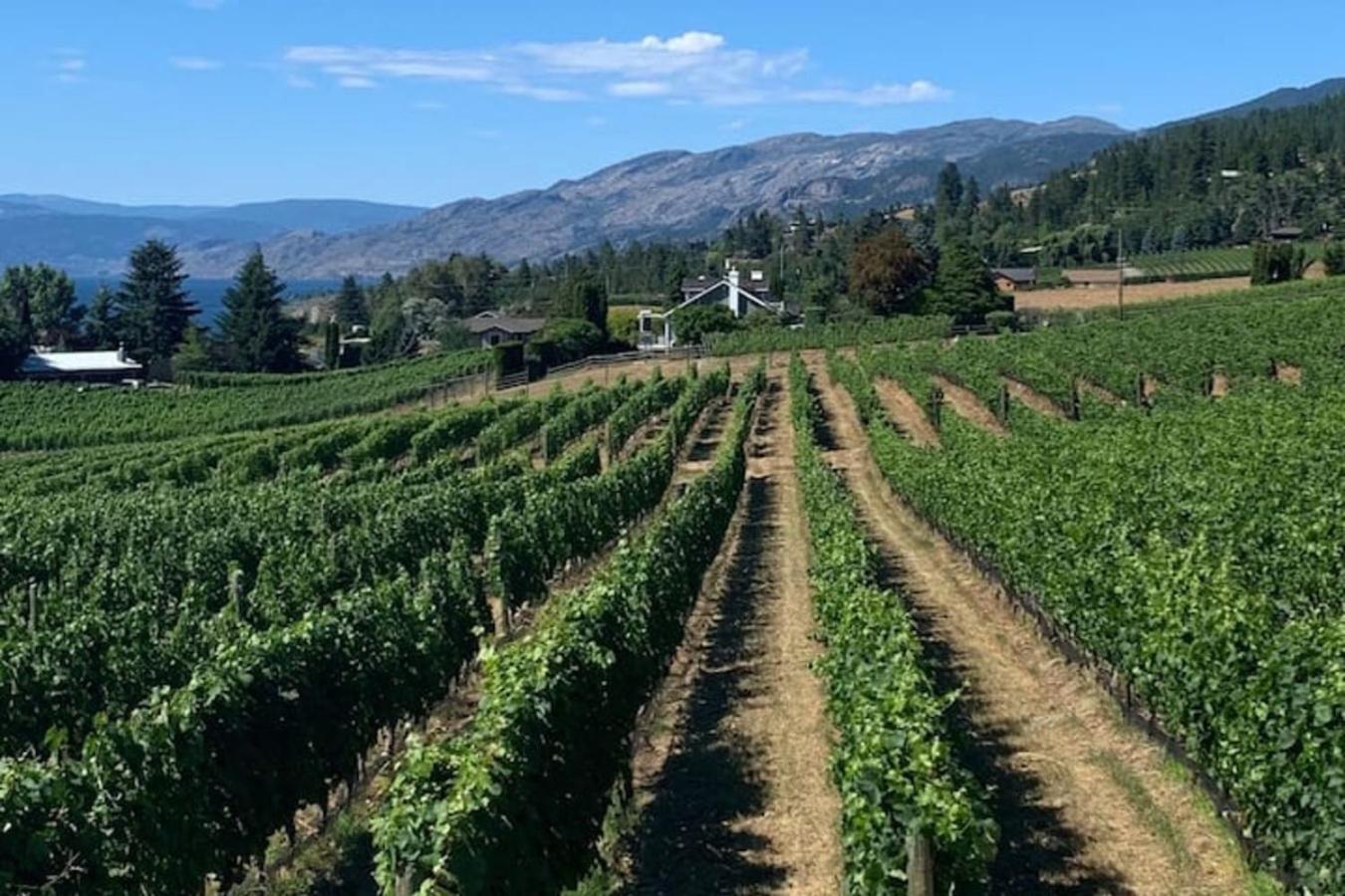 Kelowna Vacations - Exceptional Cozy Cottage with Incredible View! - Property Image 12