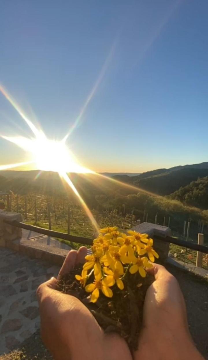 Establecimiento La Soleada suites de campo