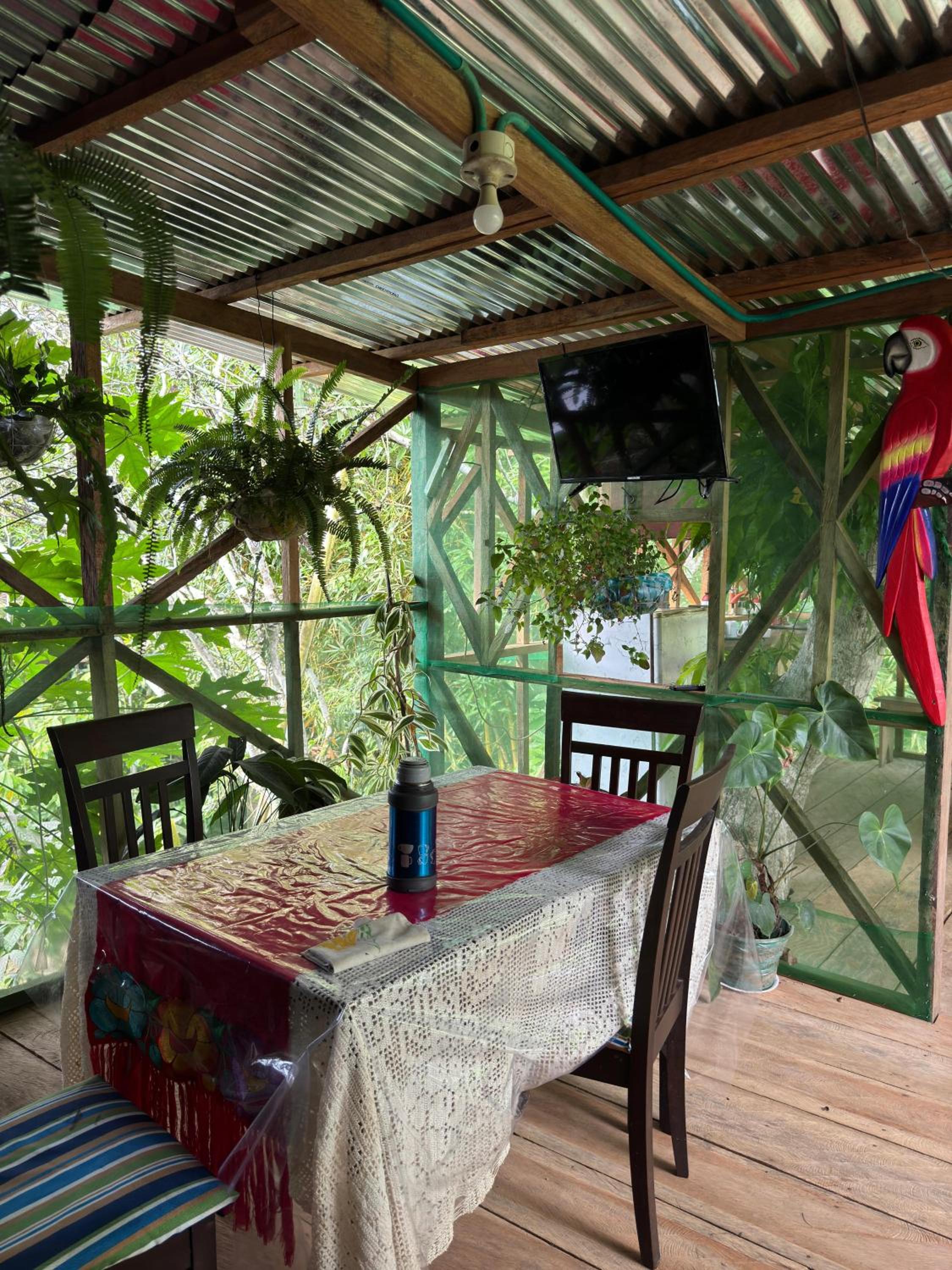 Maiku Amazonas