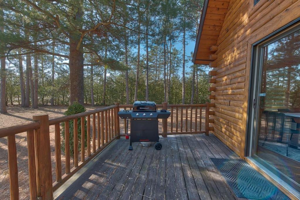 Charming & Cozy Chalet; Minutes to Shanty Creek! view 5