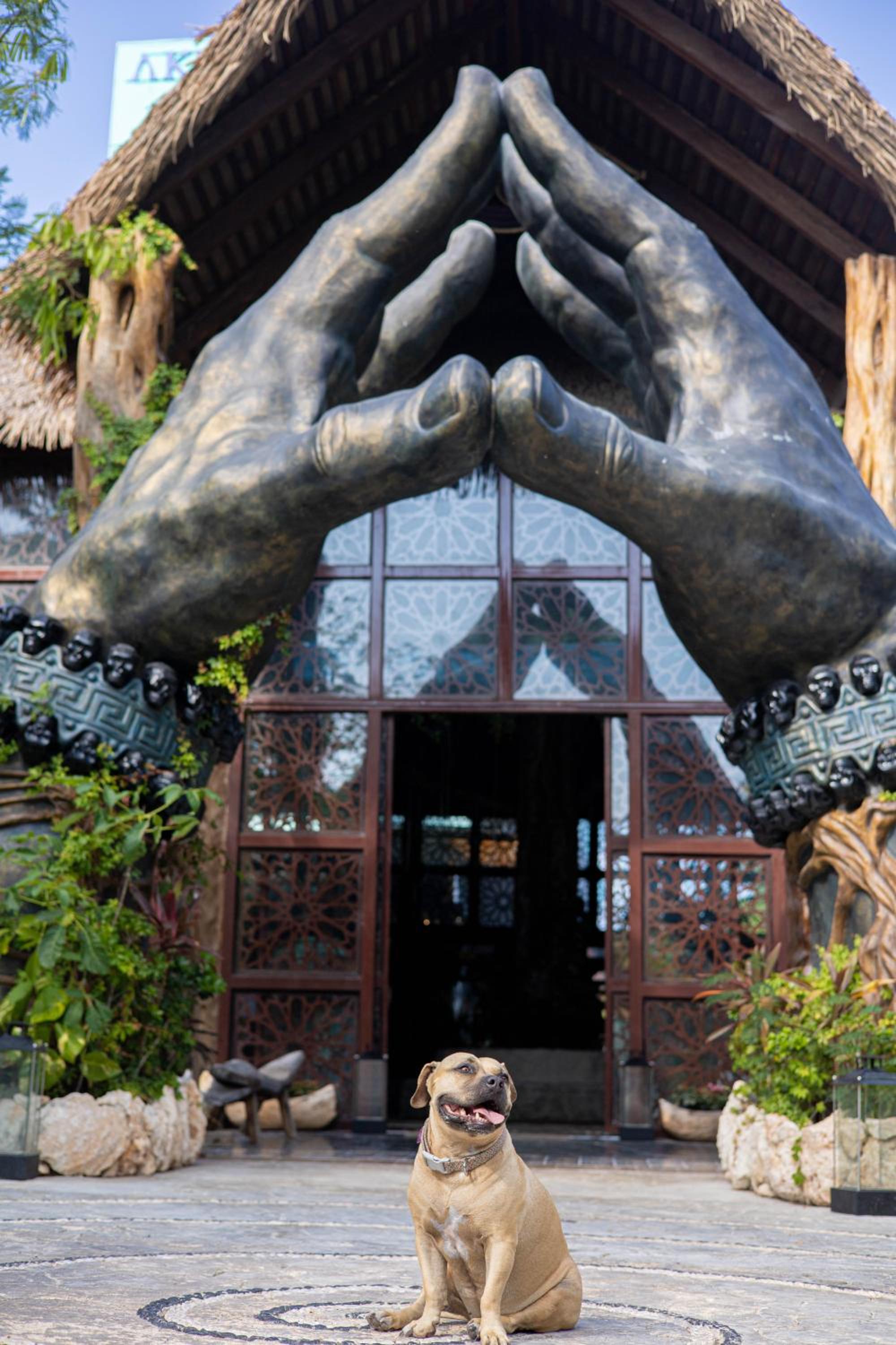 Akuazul Resorts Adults Only