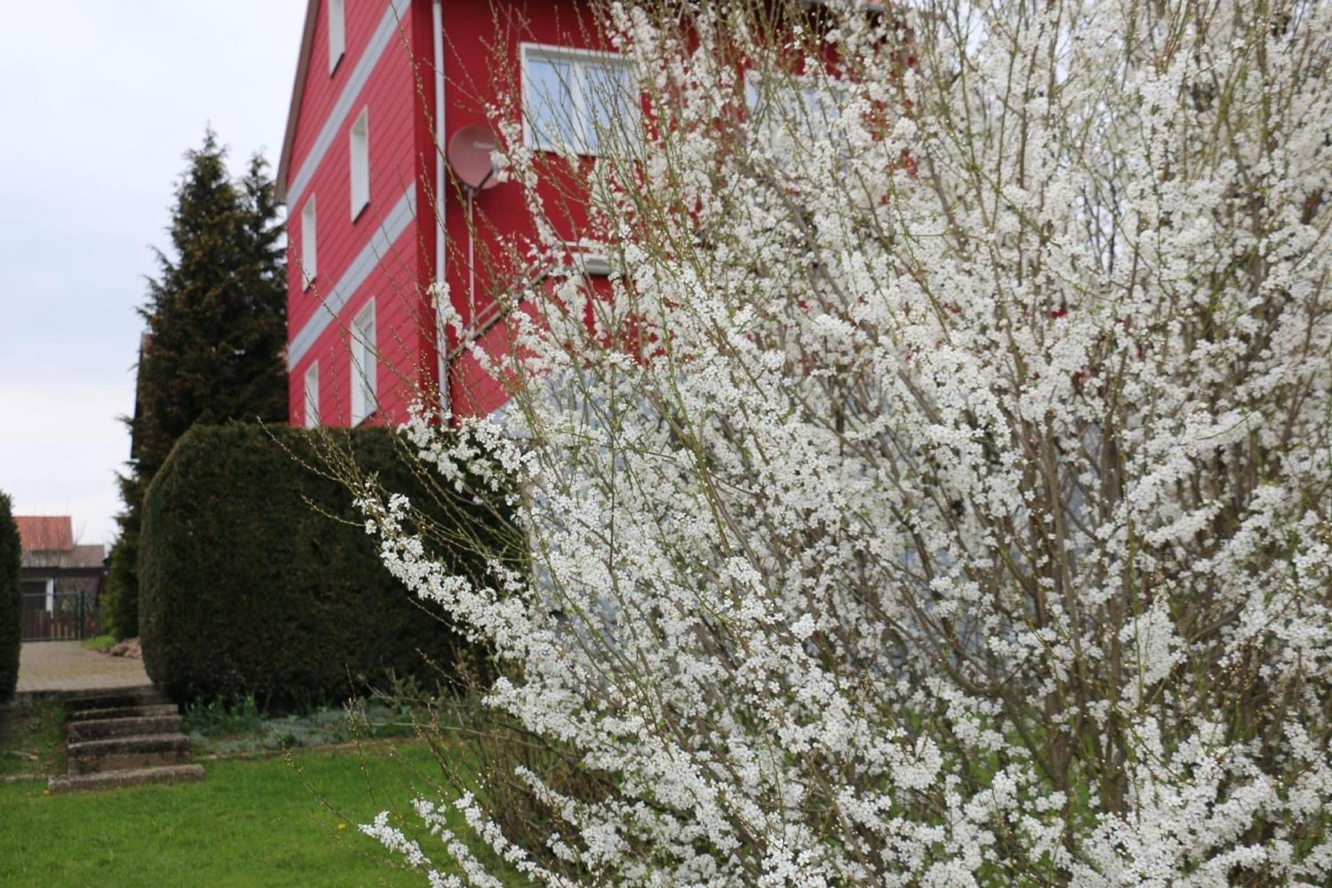 Modernes, gemütliches Ferienhaus mit Terrasse und Garten