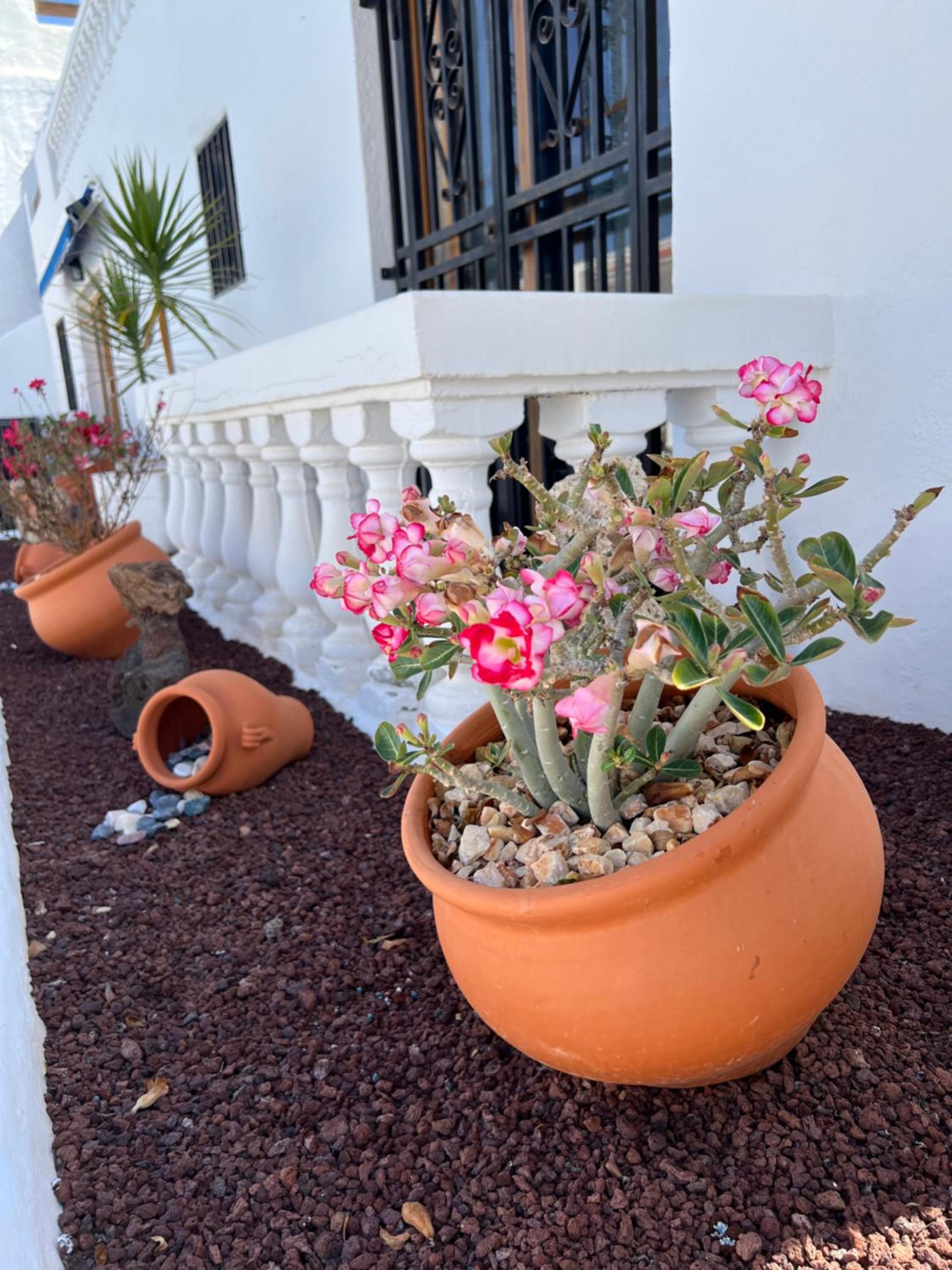 Apartment Vlasta Port Royal Los Cristianos