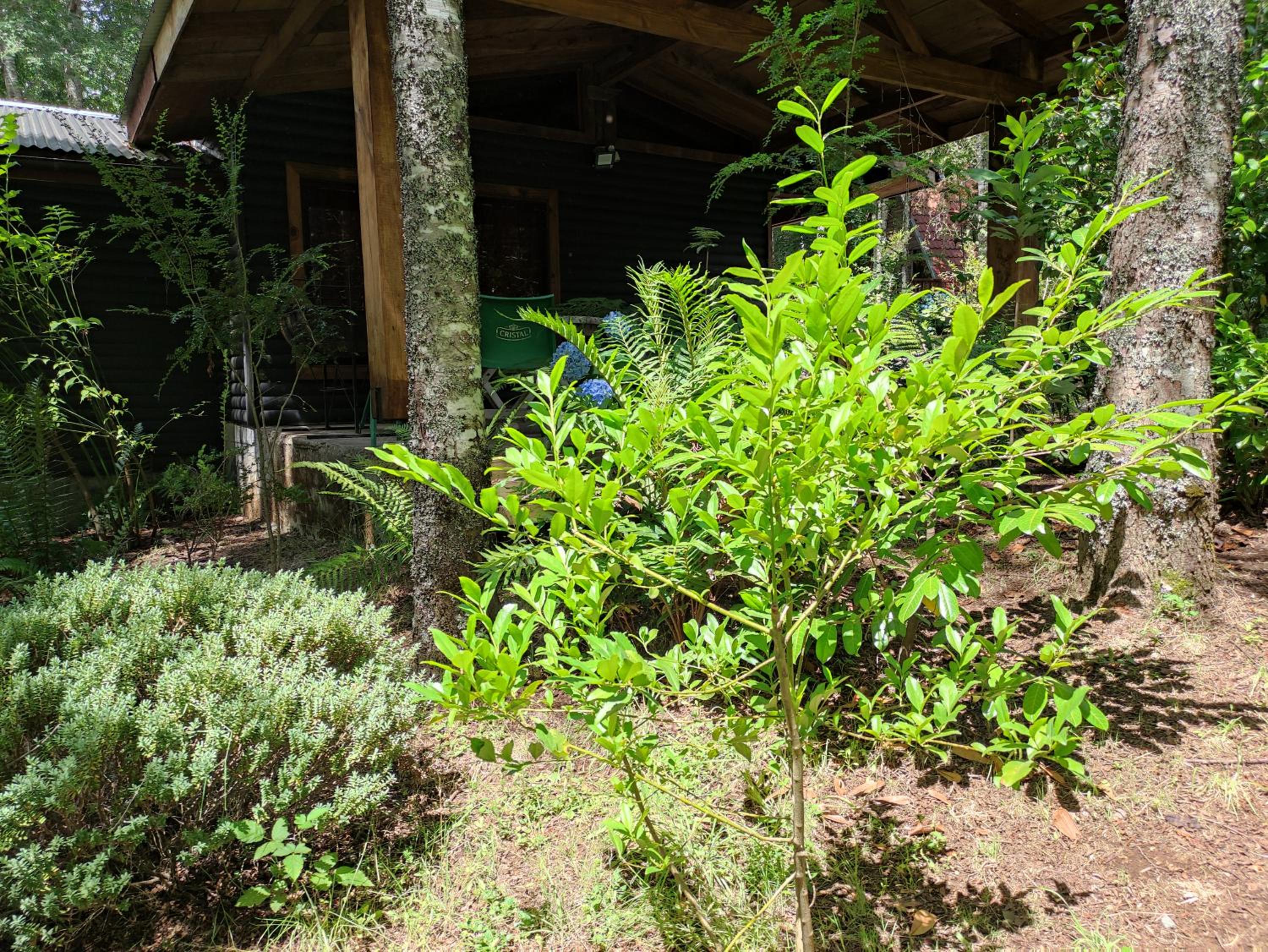 Relun Lodge