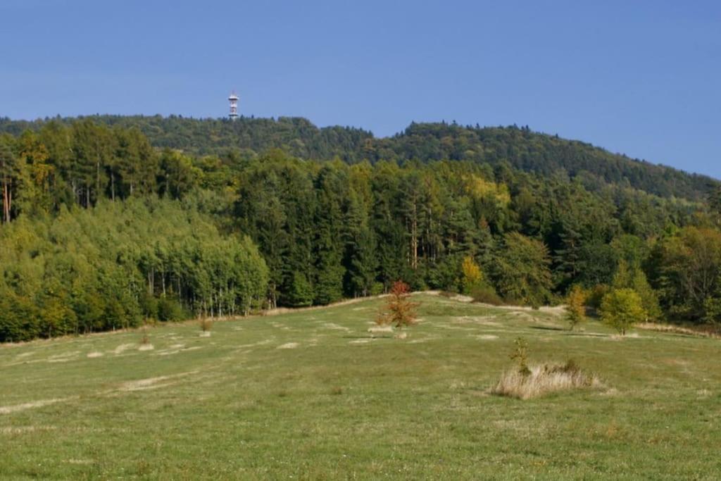 Zelený prostorný aparmán v Českém Ráji
