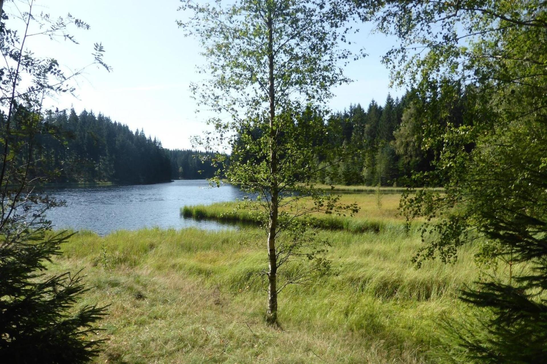 Ferienhaus für 10 Personen in Vogelsgrün, Sachsen Vogtland