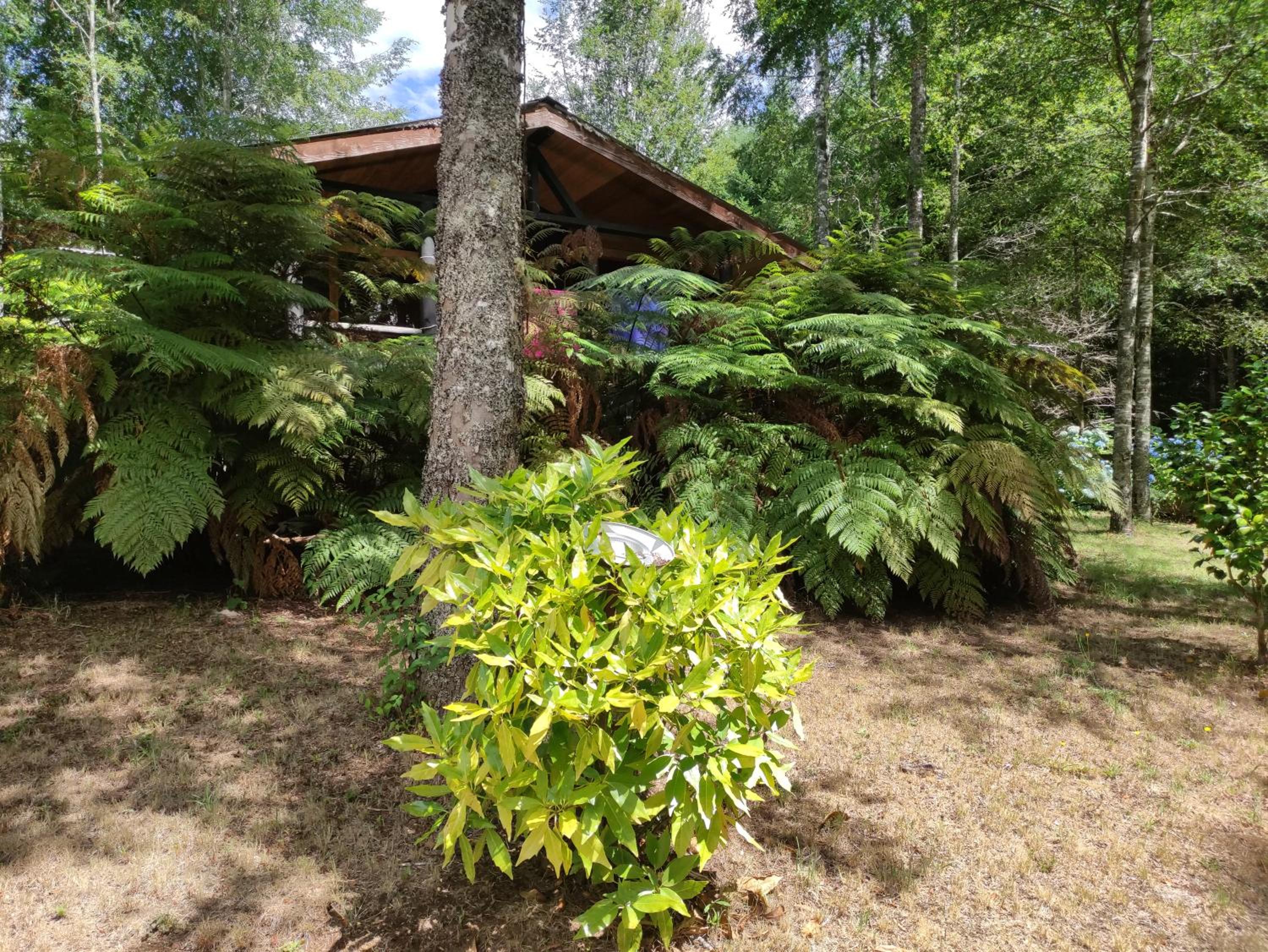 Relun Lodge