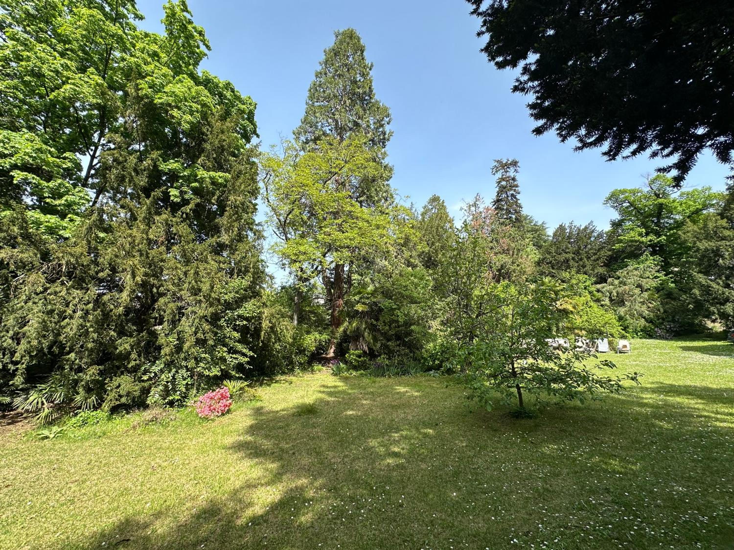 Schillerhof