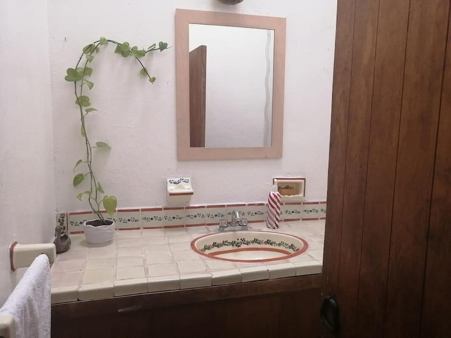 Photo 21