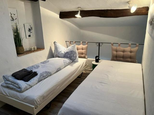 Caslano: 2.5 Zi-Dachwohnung im rustikalen-modernen Stil view 4