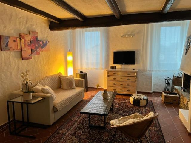 Caslano: 2.5 Zi-Dachwohnung im rustikalen-modernen Stil view 5