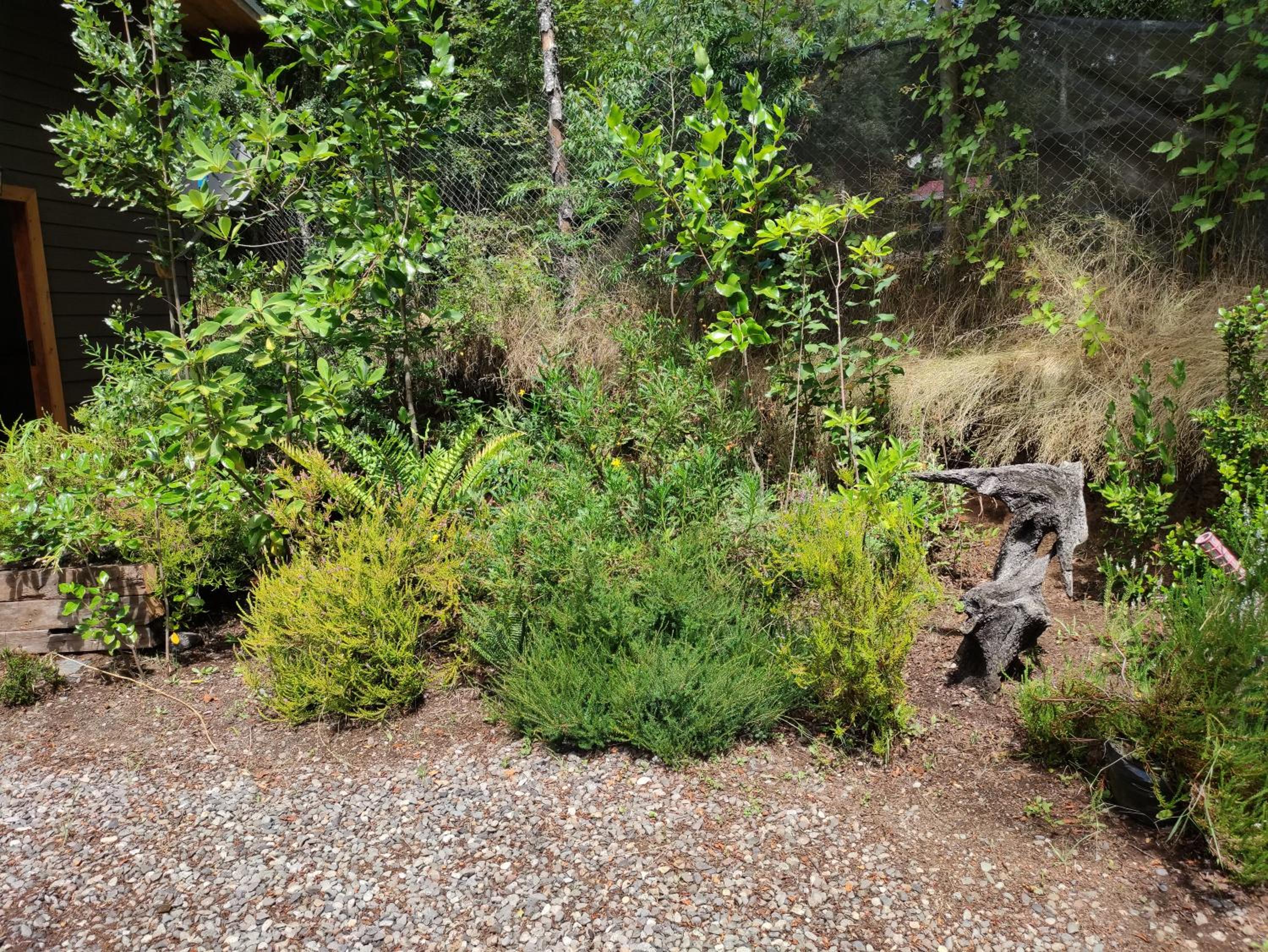 Relun Lodge