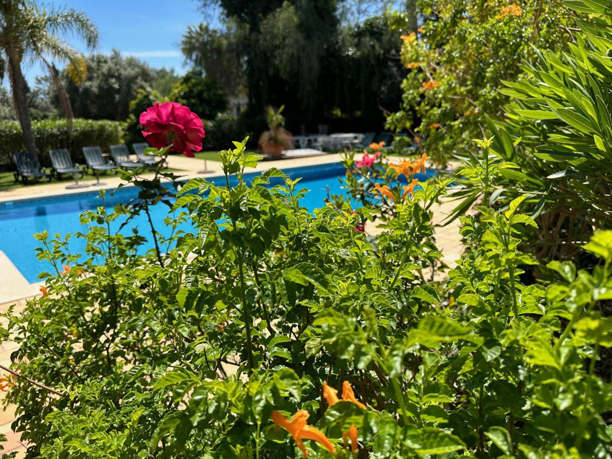 Villa Lagos Algarve for families & friends, 6 bedrooms, 7 bathrooms, pool, BBQ, central heating