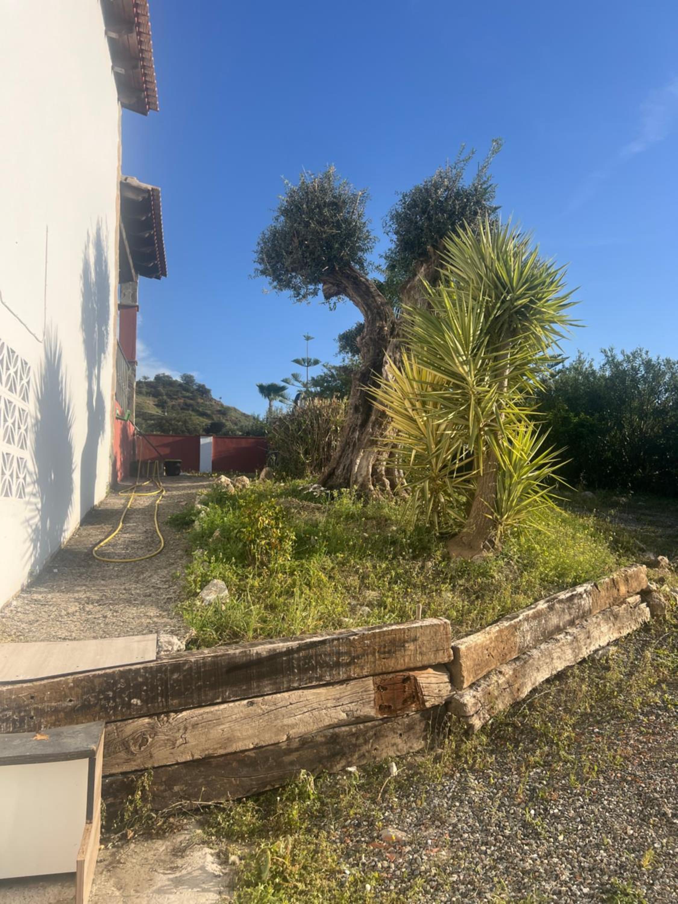 Casa peace