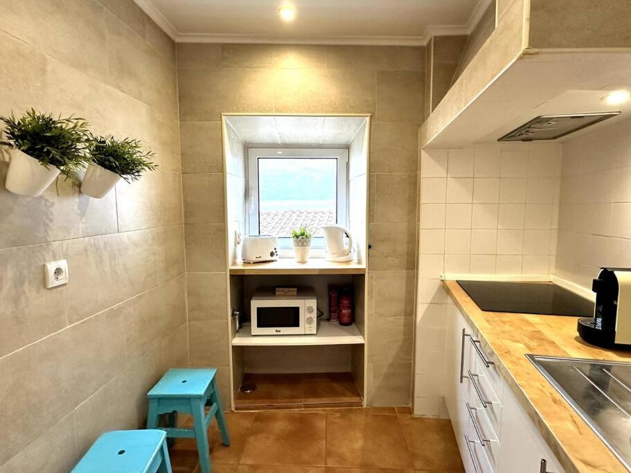 Cruz Central apartment 1 view 5