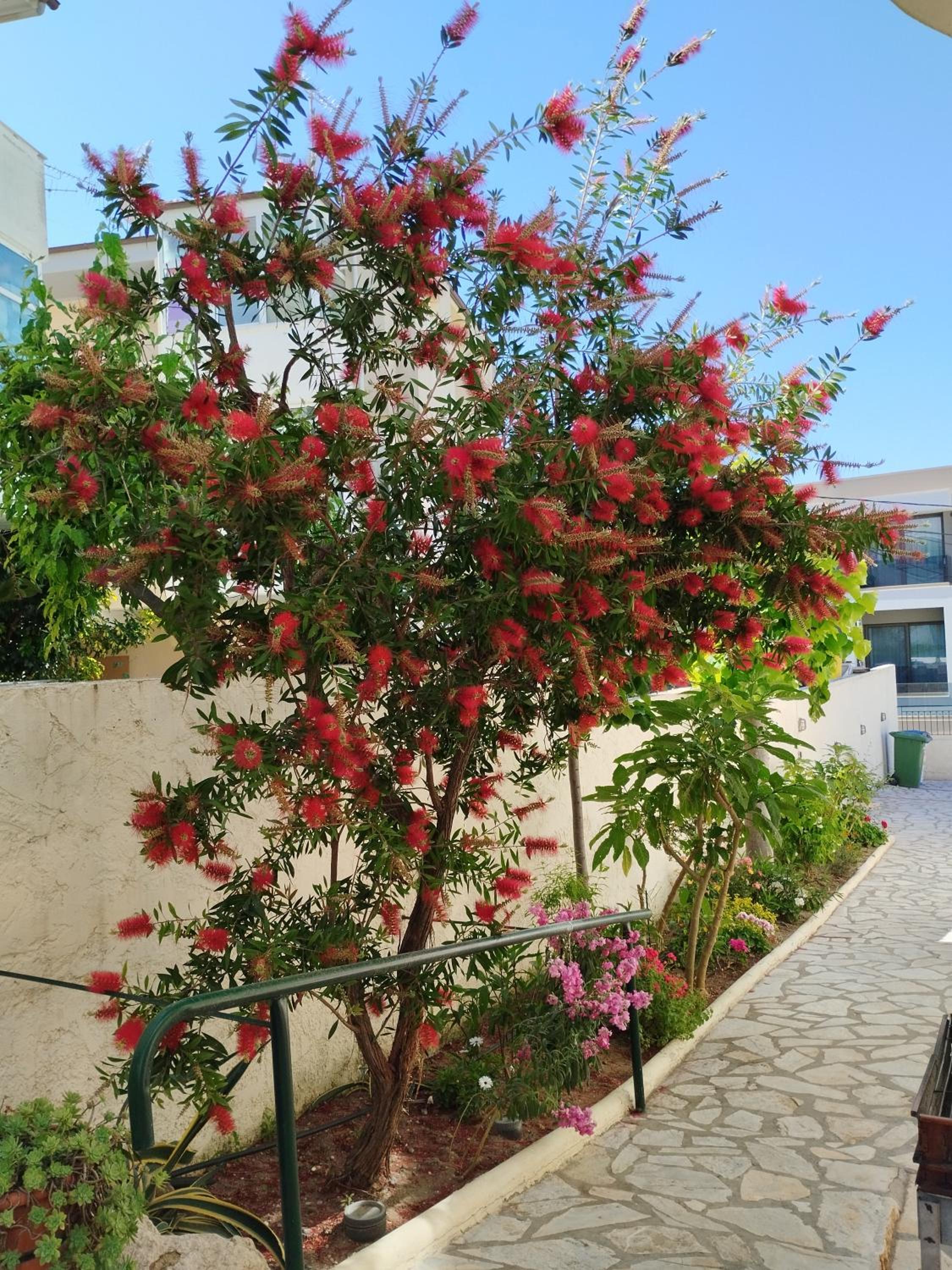 Photo 6