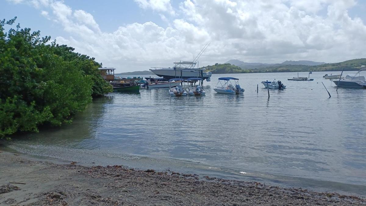 Photo 18
