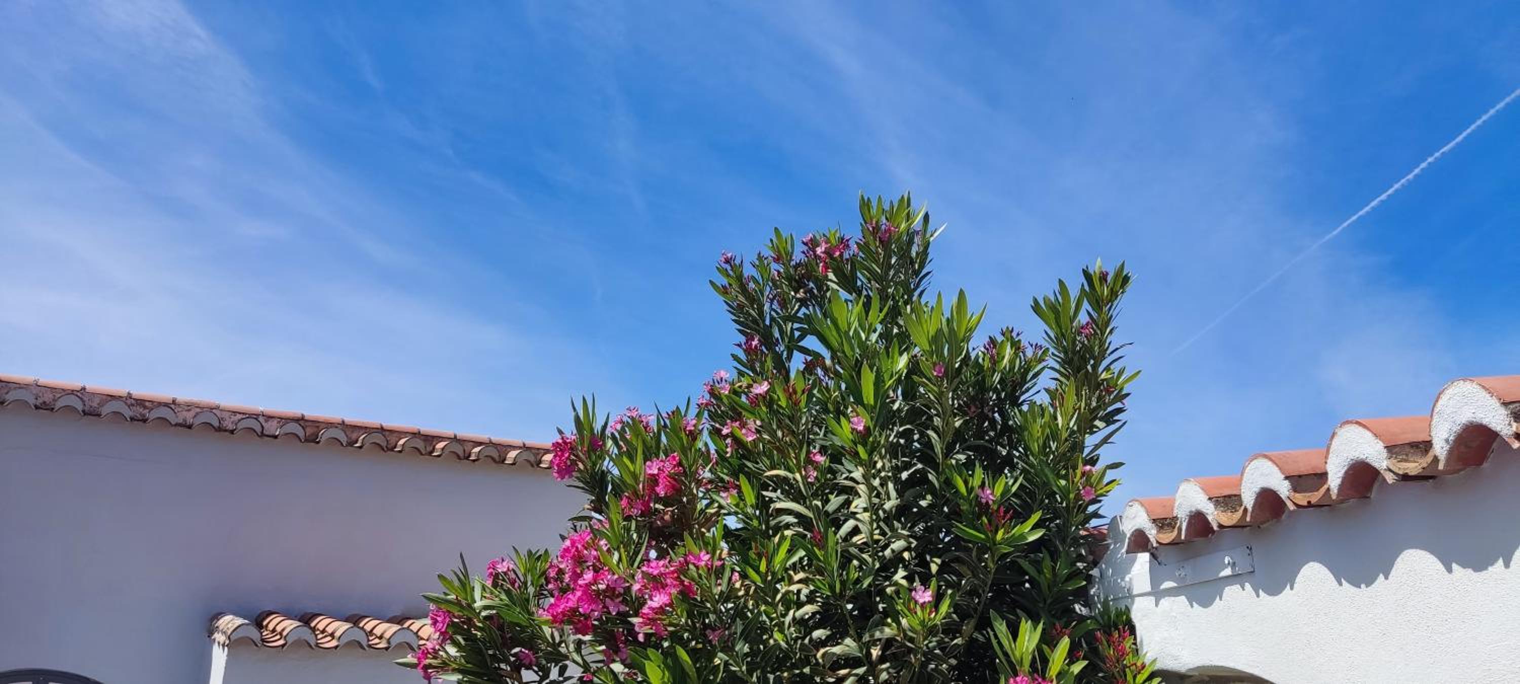 beautiful Casa Gazanias