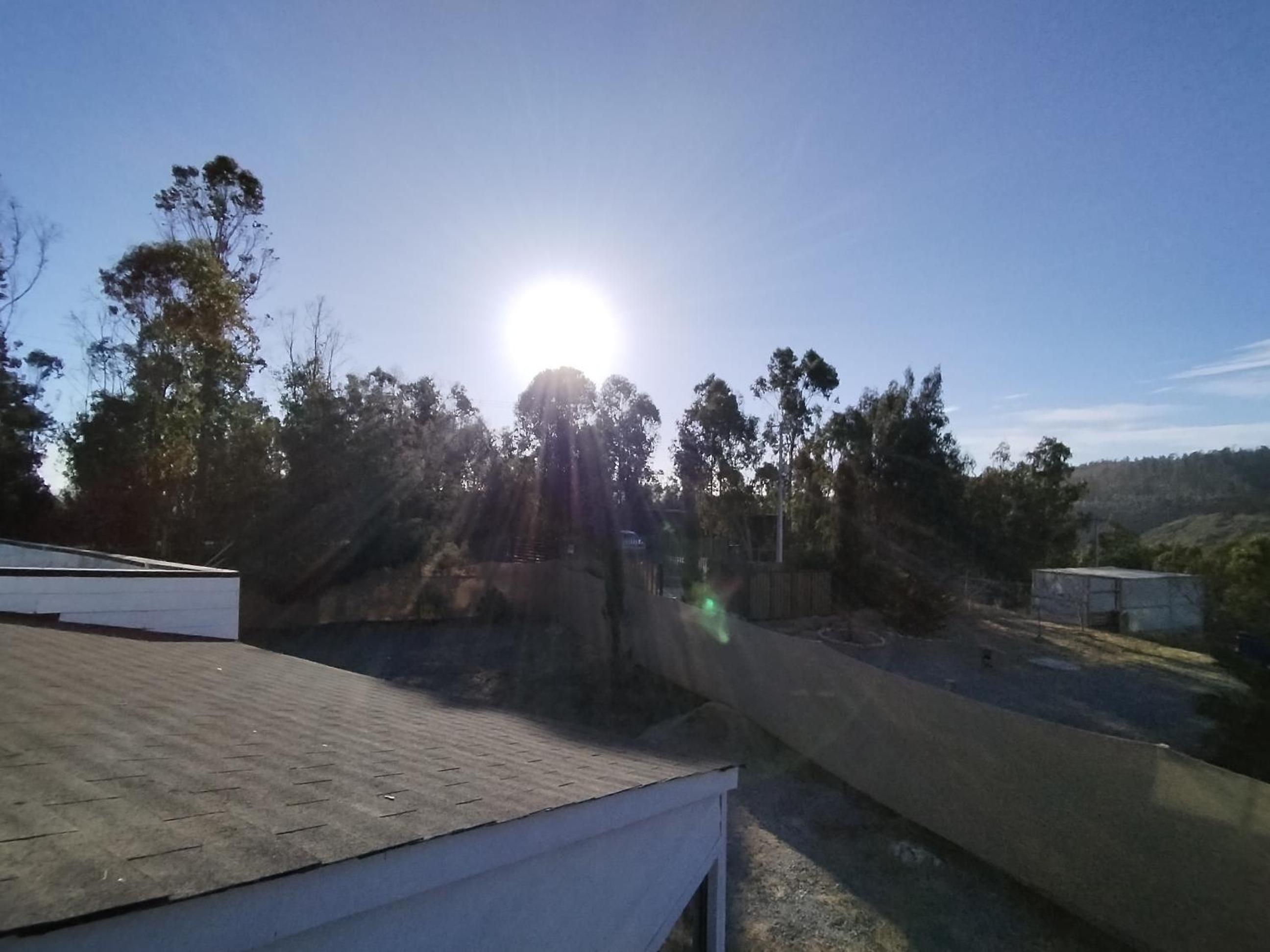 Tunquen Algarrobo