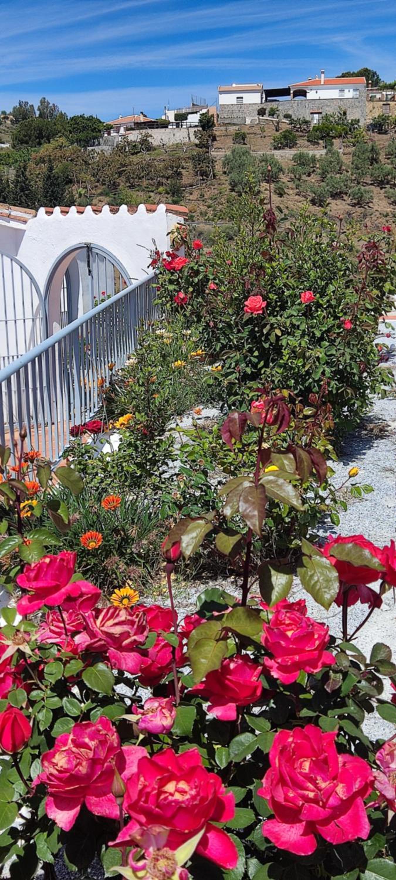 beautiful Casa Gazanias