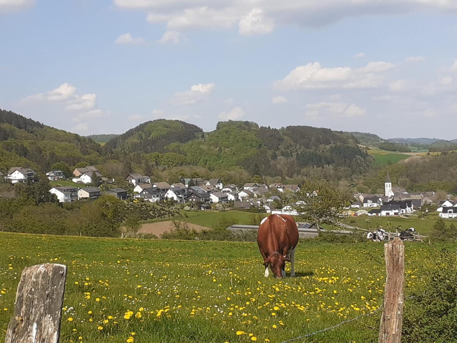 Ferienwohnungen Sternenhimmel WHG 1