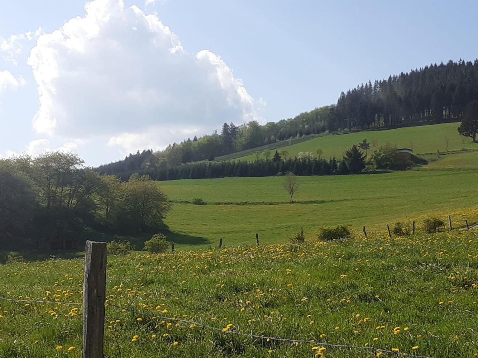 Ferienwohnungen Sternenhimmel WHG 1