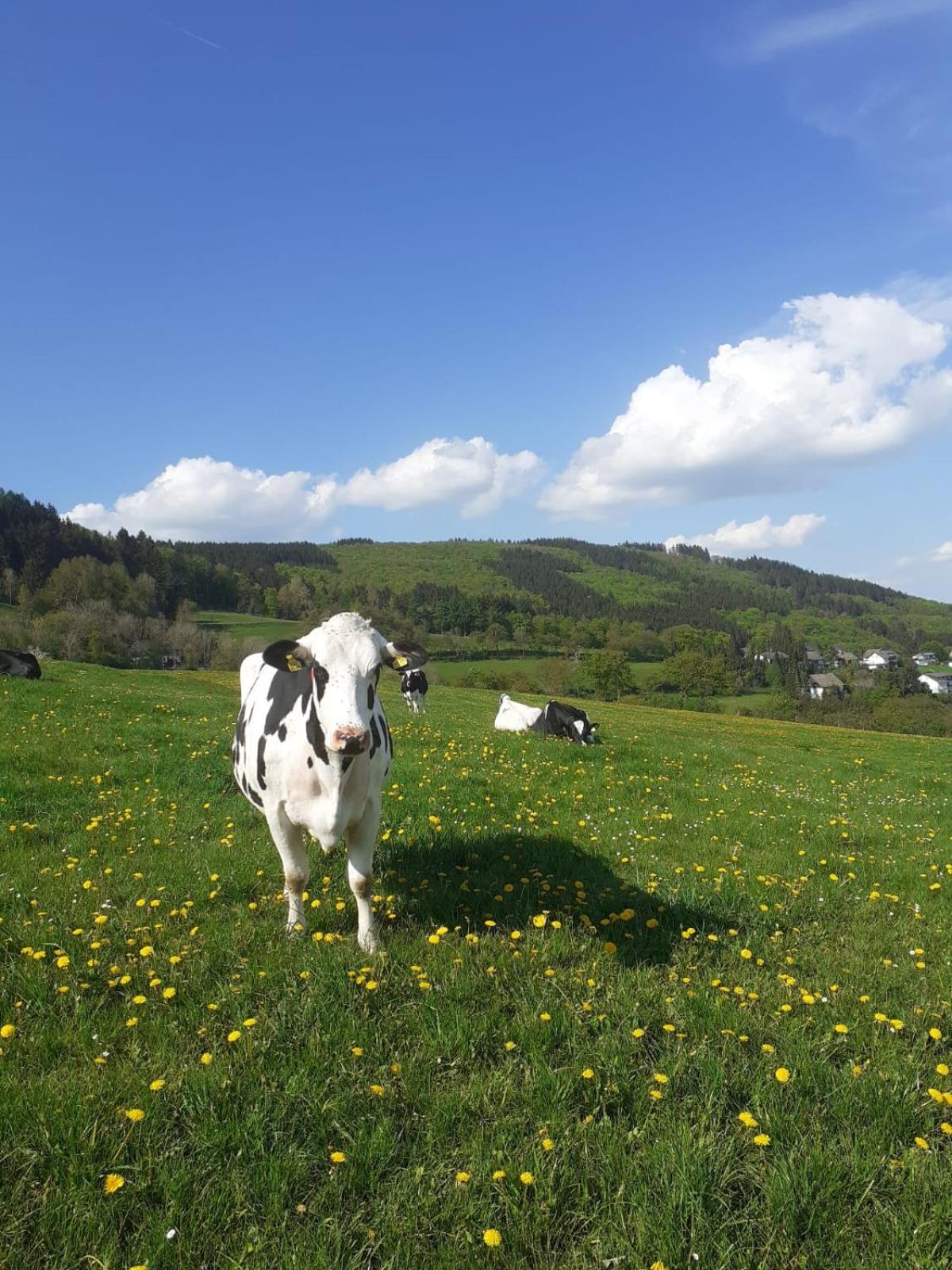 Ferienwohnungen Sternenhimmel WHG 1