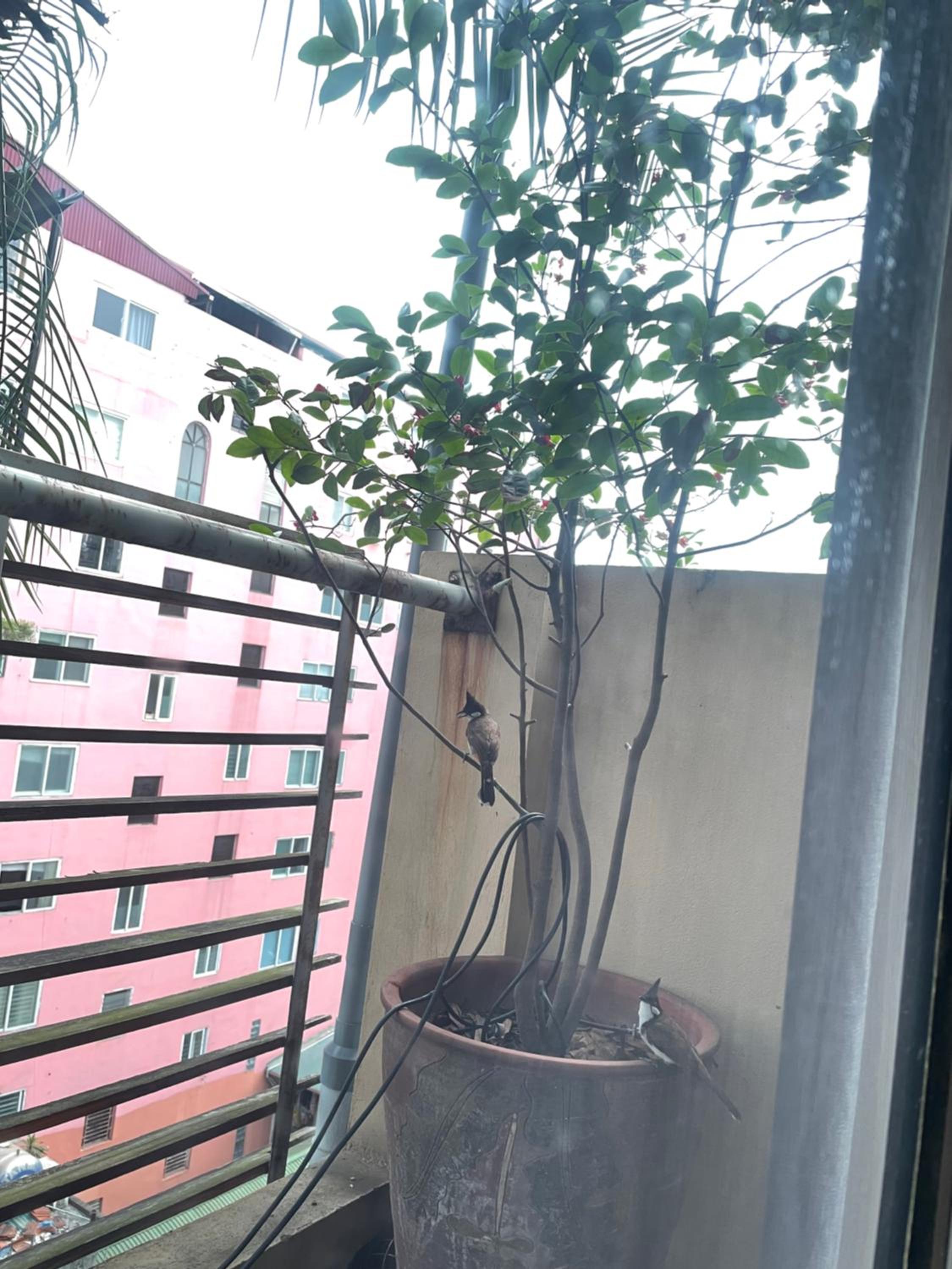 May Residence-800m from Opera House