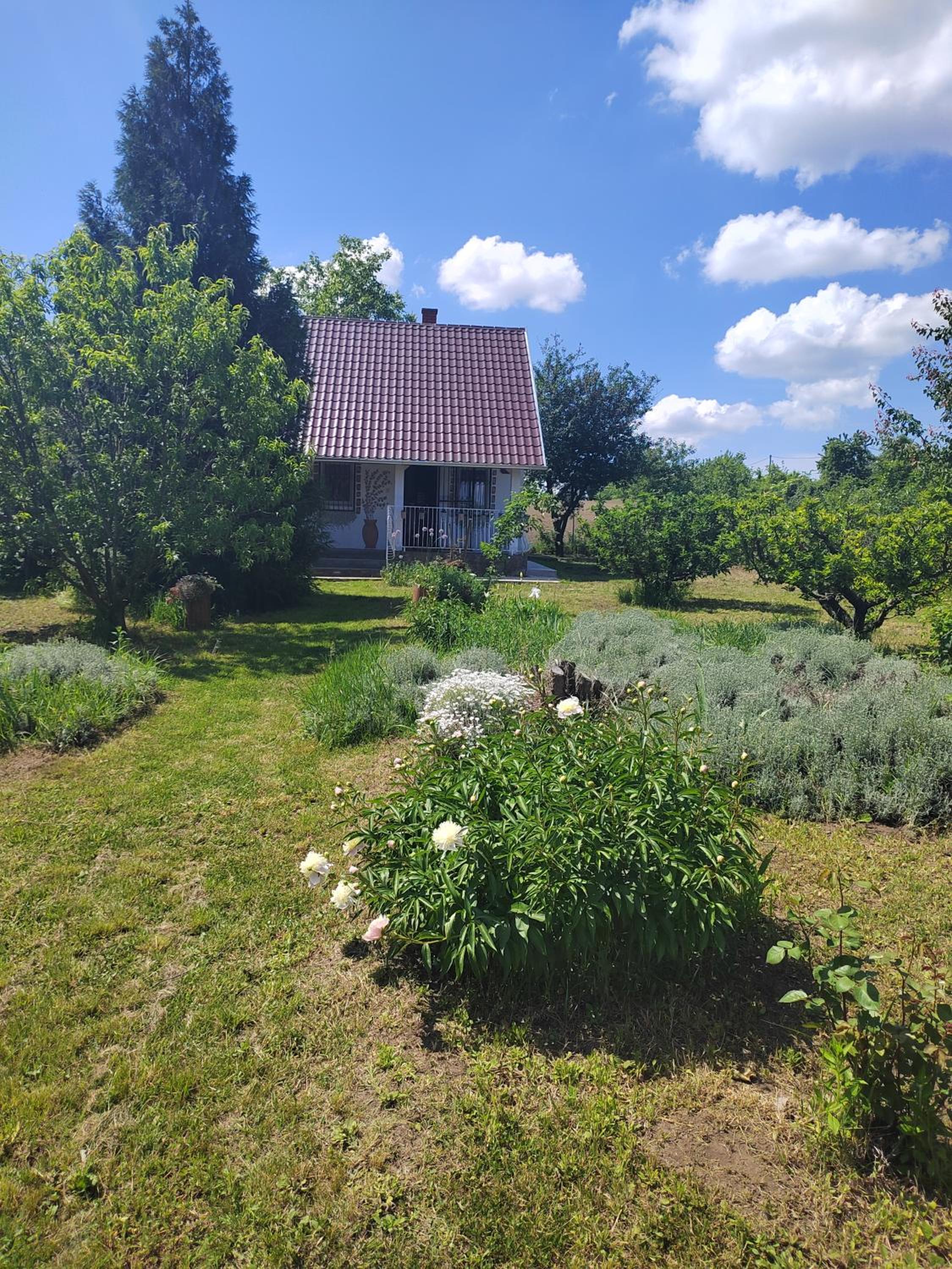 Marina Cottage