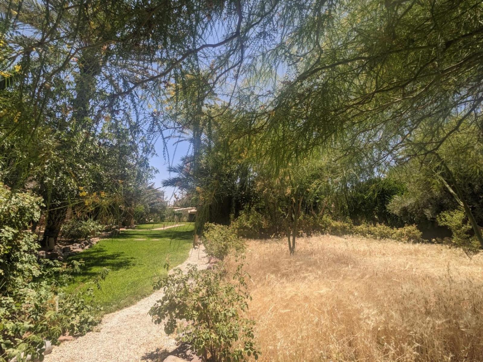 Photo 32