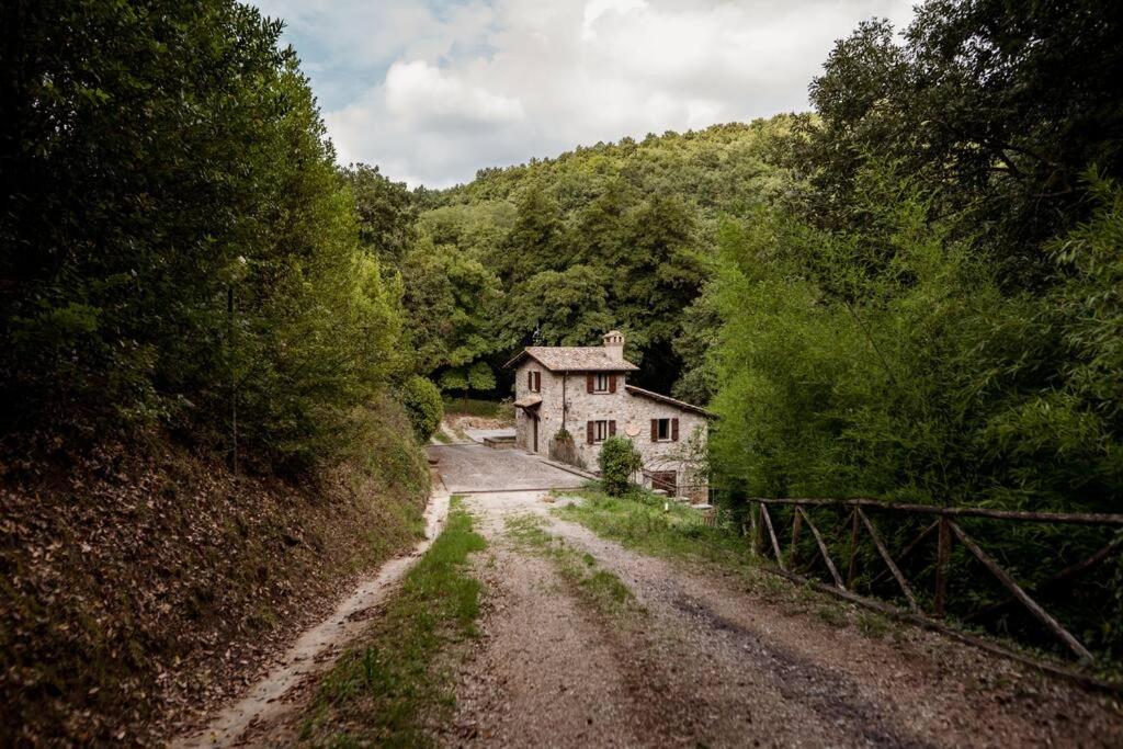 Casale Il Mulino con piscina Viterbo Bagnoregio view 5