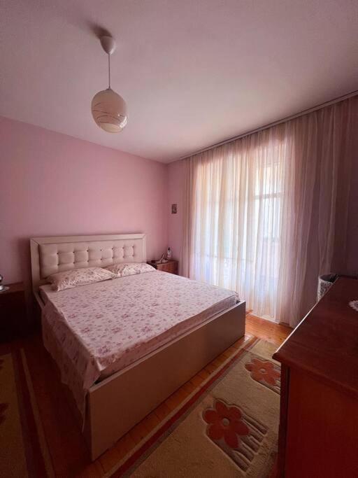 Nicole's Cozy Apartment