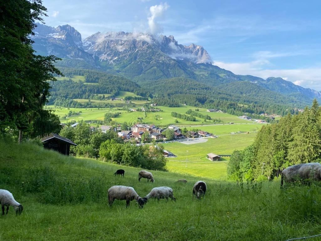 Alpen Studio Ellmau II