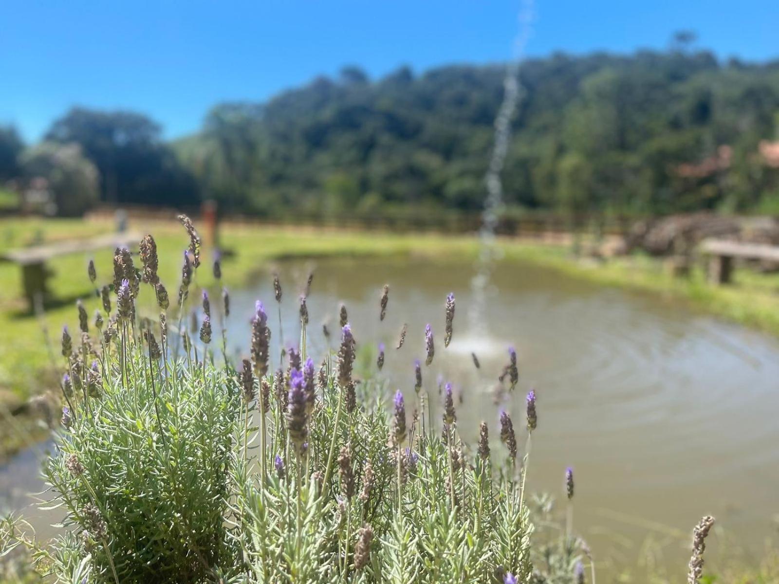 Casa de Campo Pé da Serra - Sitio em Campos Novos de Cunha