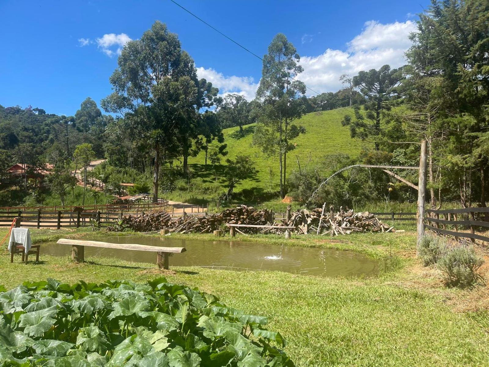 Casa de Campo Pé da Serra - Sitio em Campos Novos de Cunha