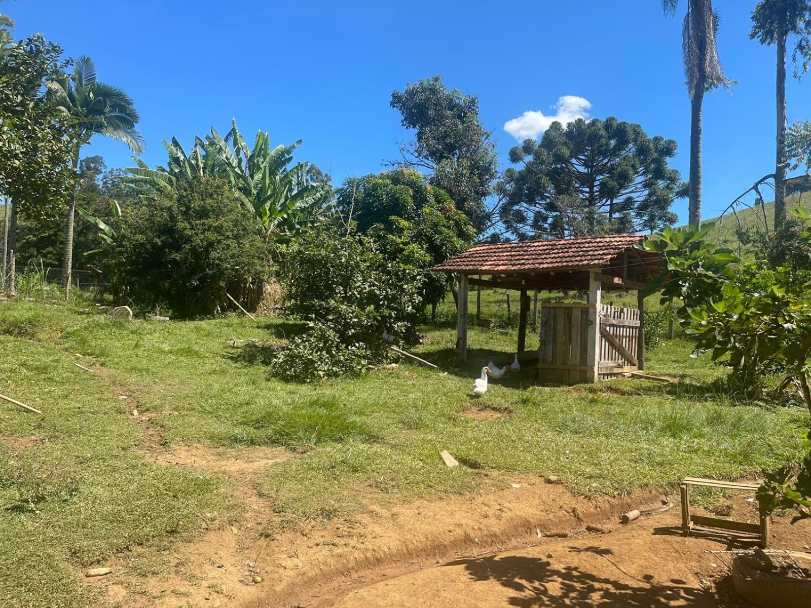 Casa de Campo Pé da Serra - Sitio em Campos Novos de Cunha