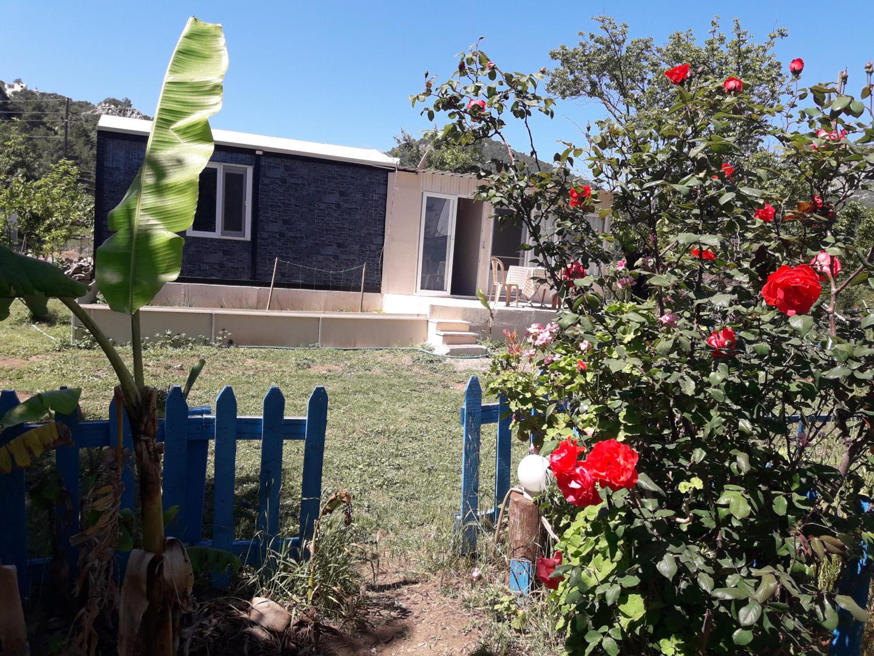 Photo 15