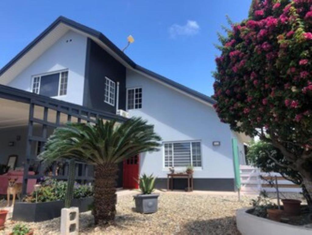 Palmhouse Aruba 1-2 persons