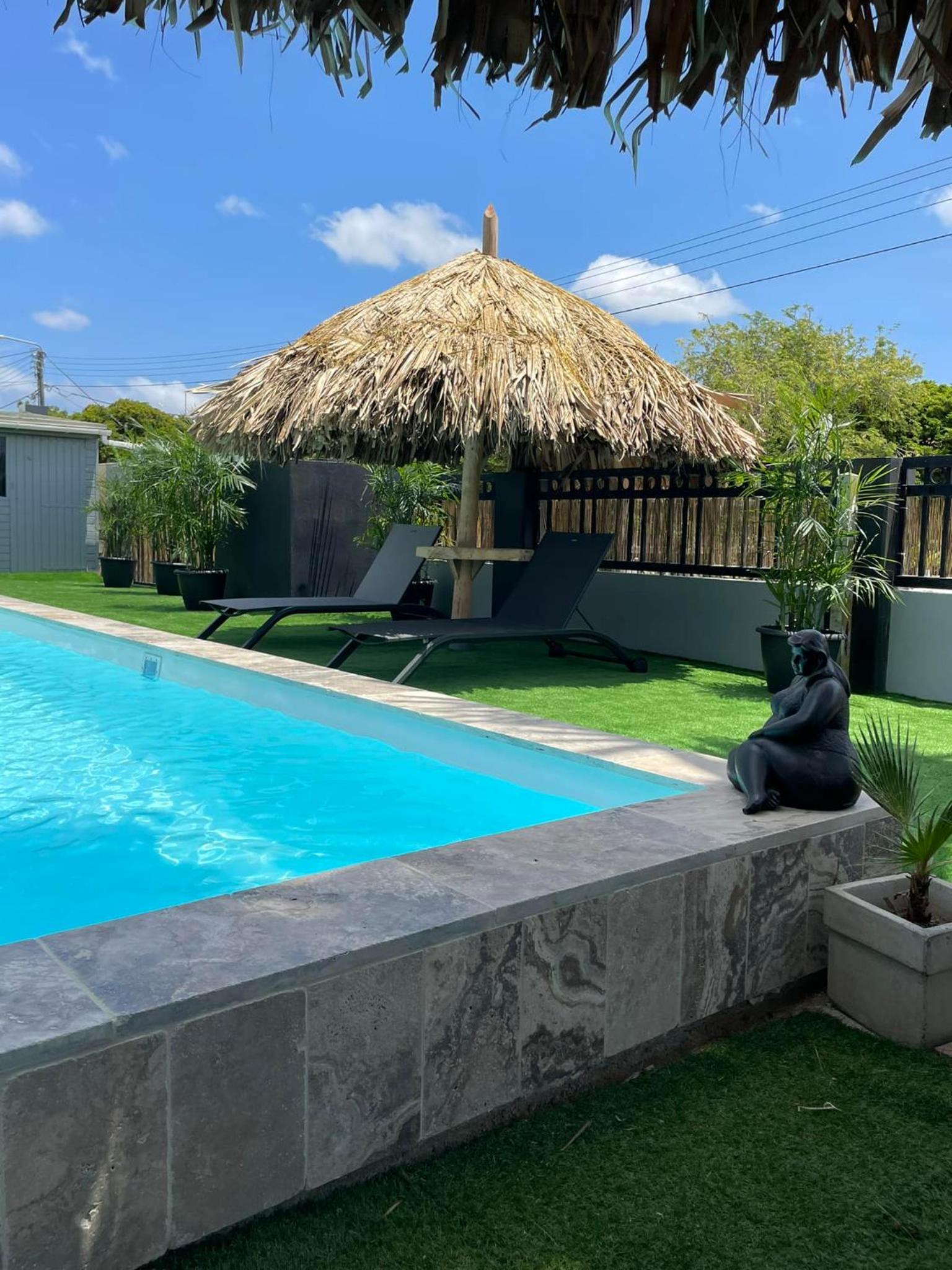 Palmhouse Aruba 1-2 persons