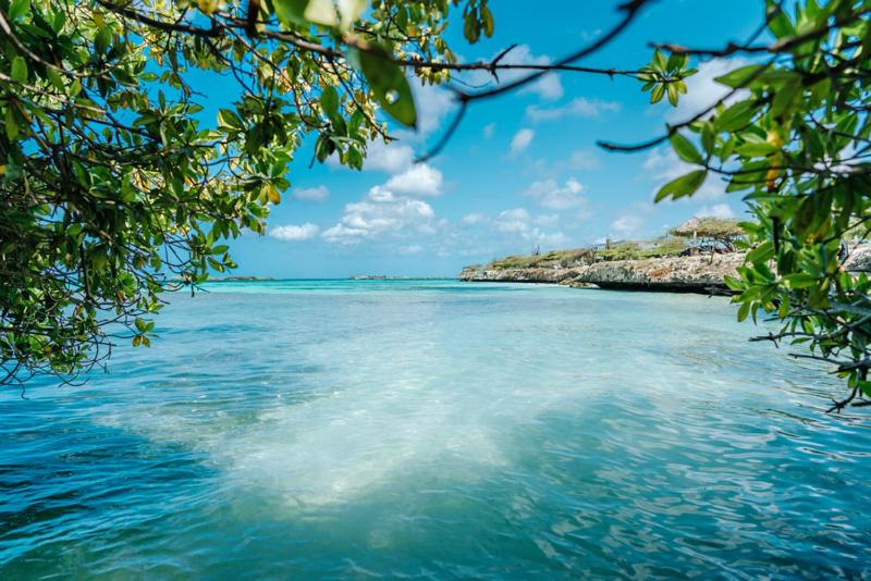 Palmhouse Aruba 1-2 persons