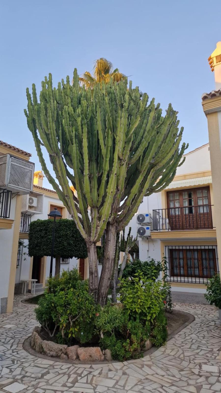 Casa de Beatriz Vera Costa bajo