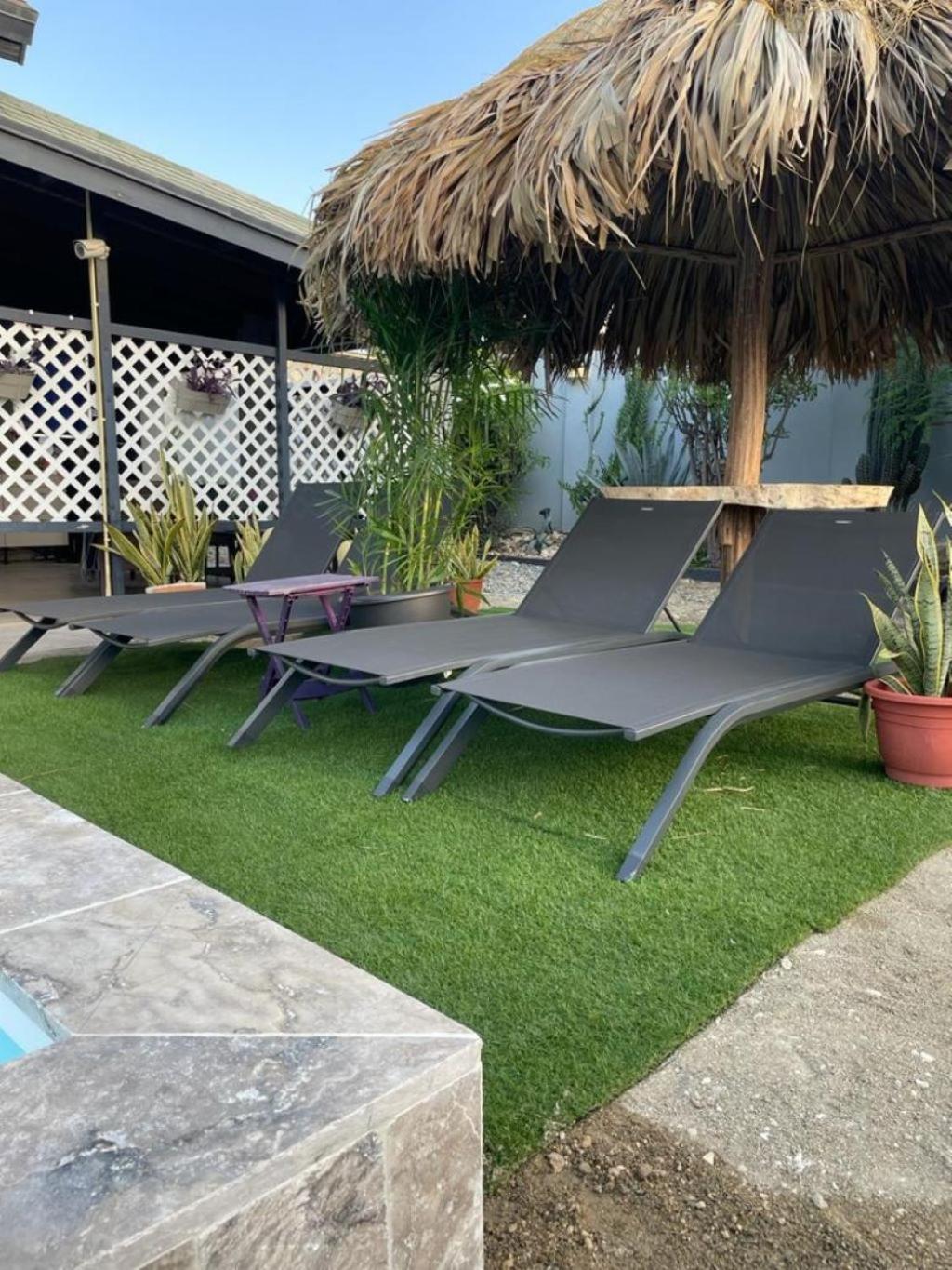 Palmhouse Aruba 1-2 persons