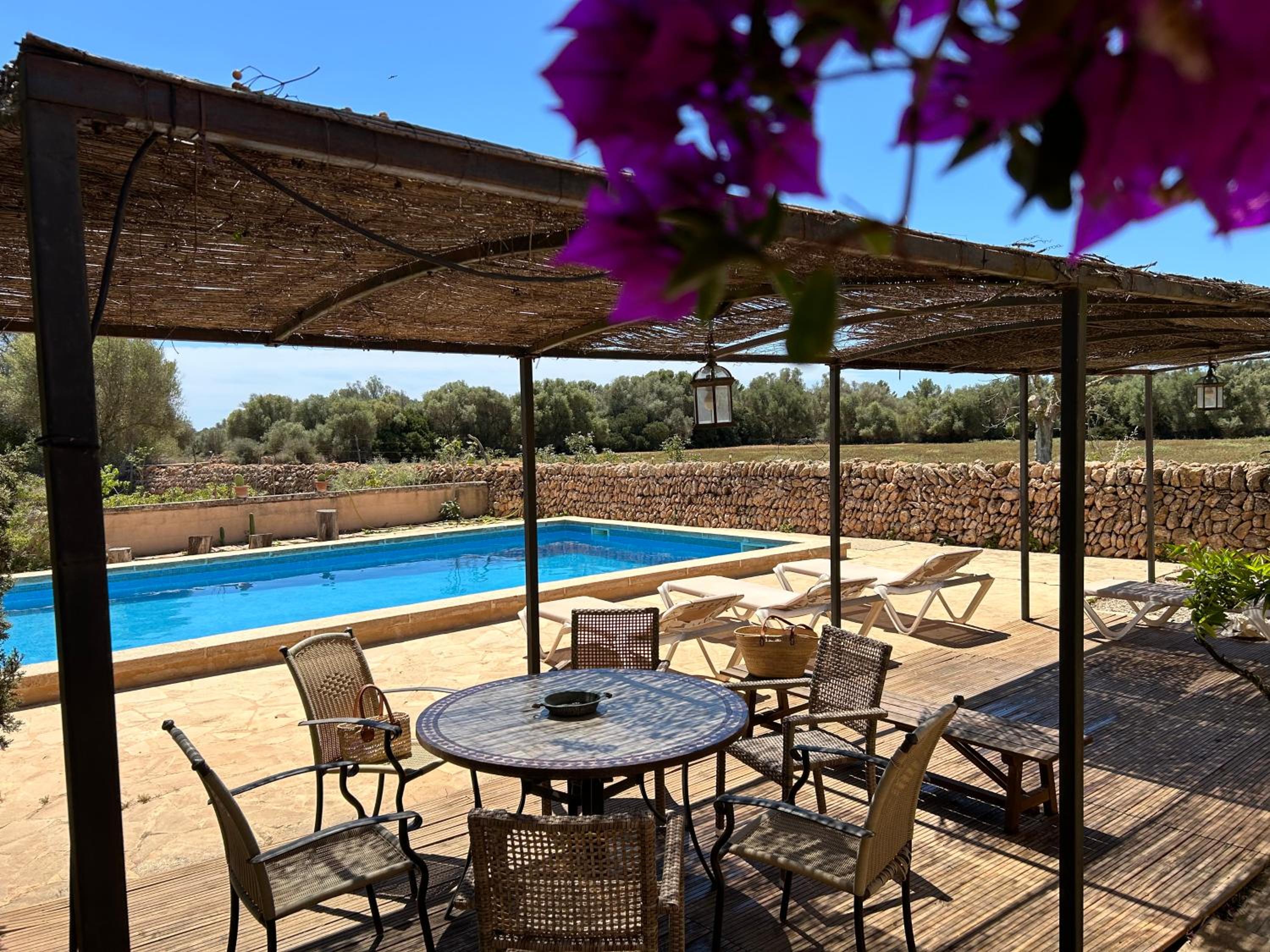 Finca Albenyeta view 5