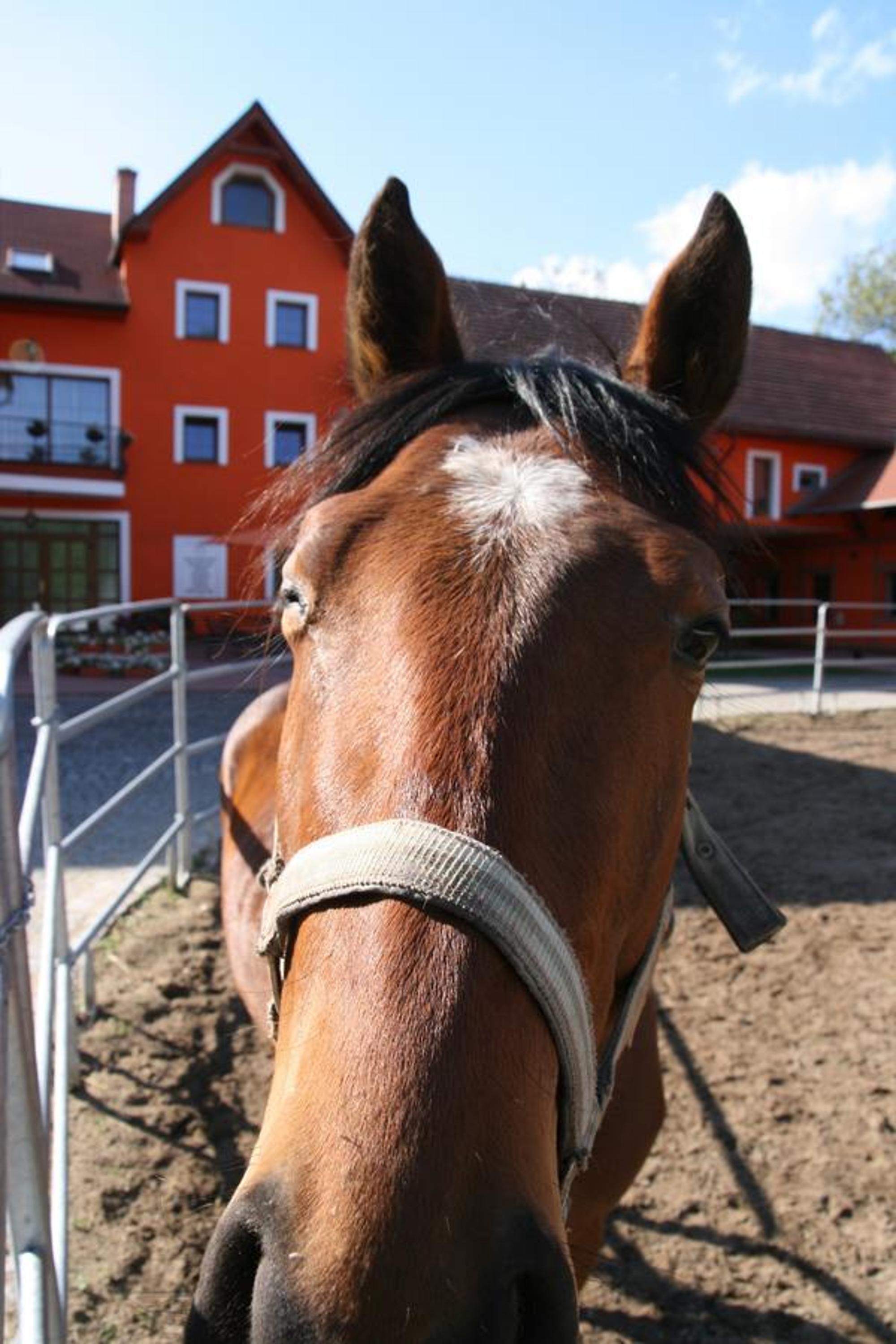 Podřipská Farma