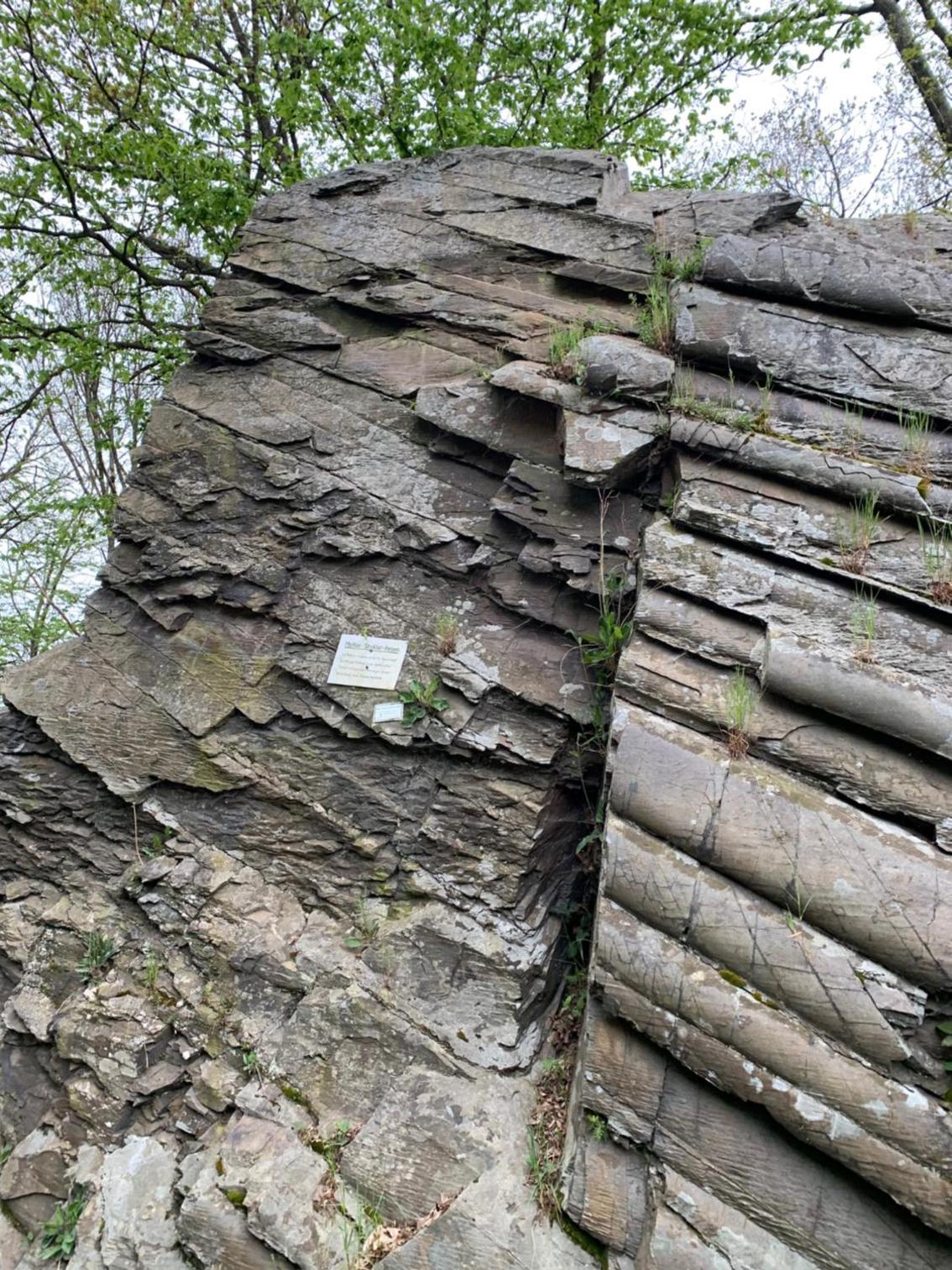 Berg Blick Eifler Bauernhaus modern restauriert