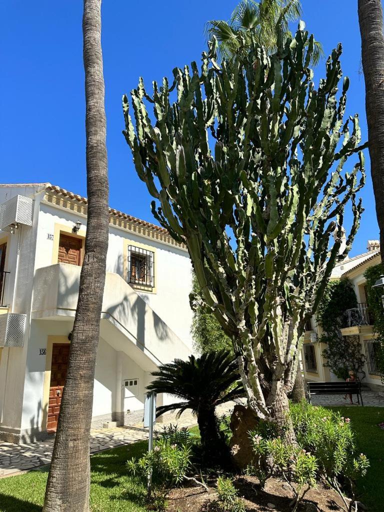 Casa de Carolina Vera Costa-bajo